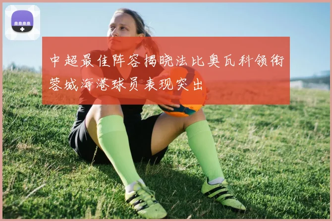 中超最佳阵容揭晓法比奥瓦科领衔蓉城海港球员表现突出