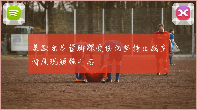莱默尔尽管脚踝受伤仍坚持出战多特展现顽强斗志