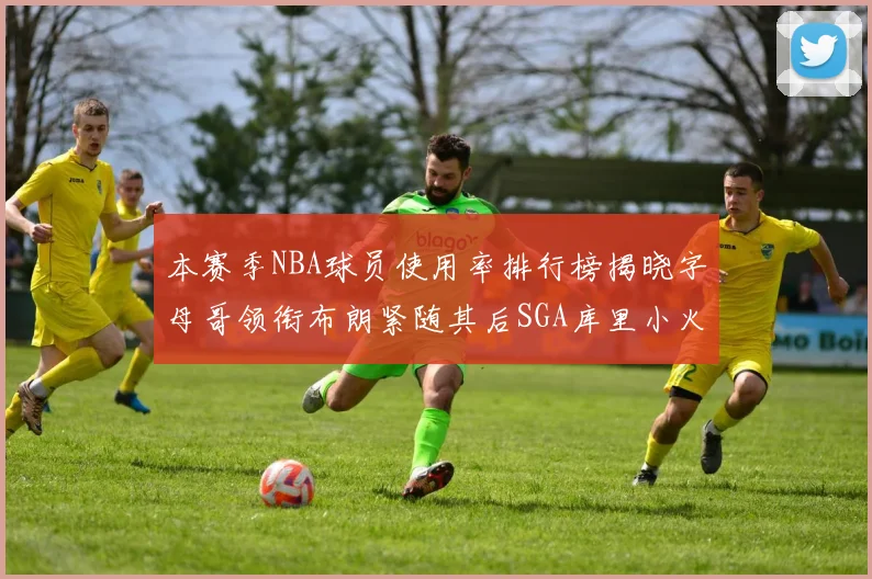 本赛季NBA球员使用率排行榜揭晓字母哥领衔布朗紧随其后SGA库里小火车紧追不舍