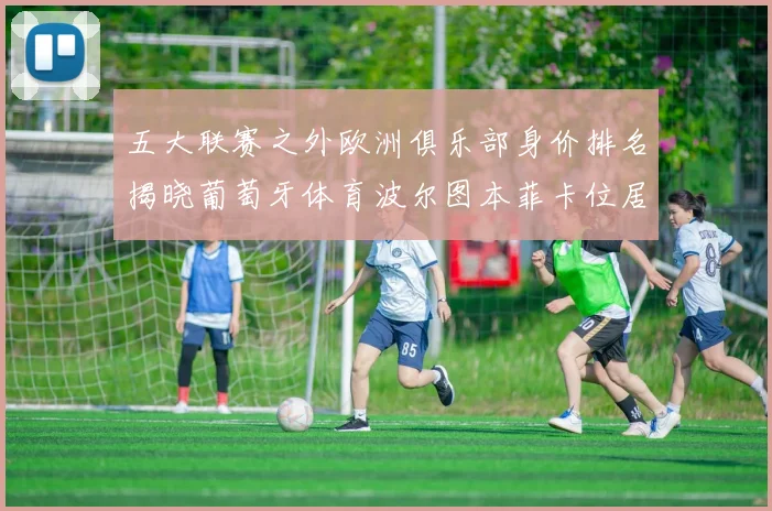 五大联赛之外欧洲俱乐部身价排名揭晓葡萄牙体育波尔图本菲卡位居前三