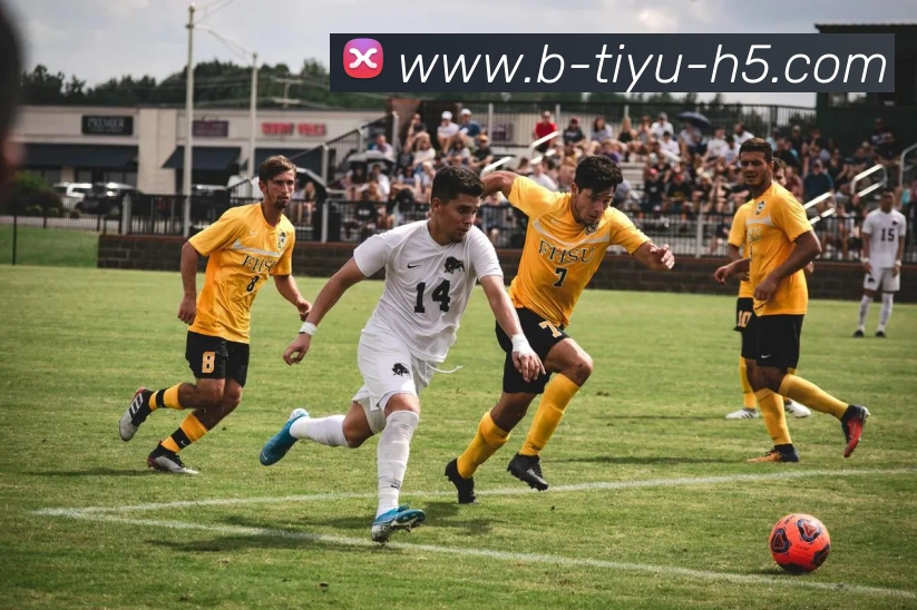 多媒体互动体验