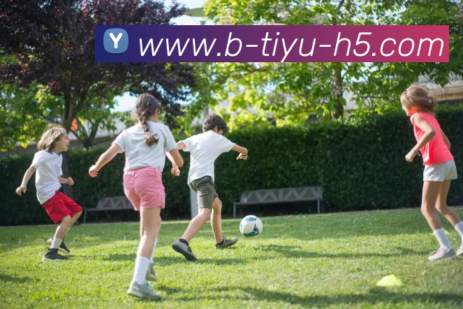 B体育APP 高清赛事图